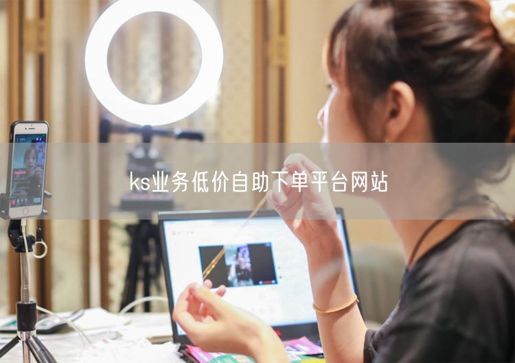 ks业务低价自助下单平台网站