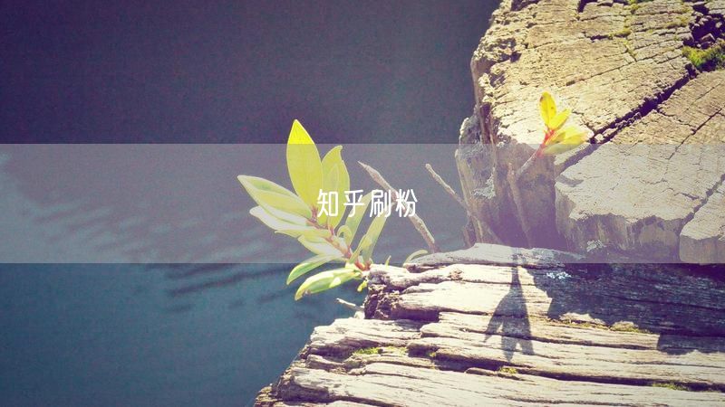 知乎刷粉