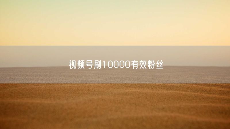 视频号刷10000有效粉丝
