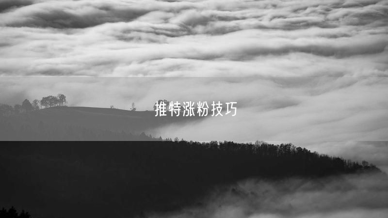 推特涨粉技巧