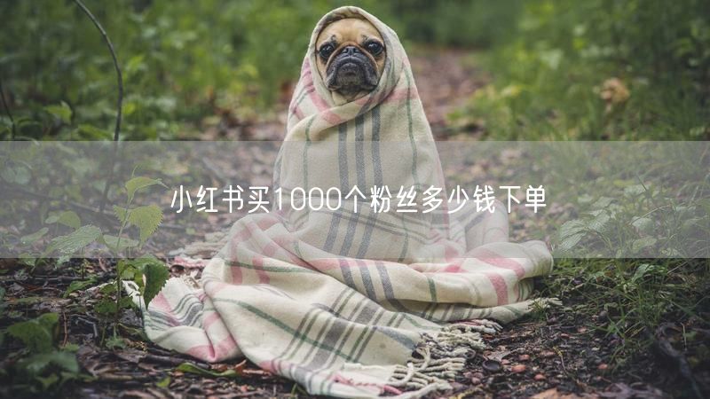 小红书买1000个粉丝多少钱下单