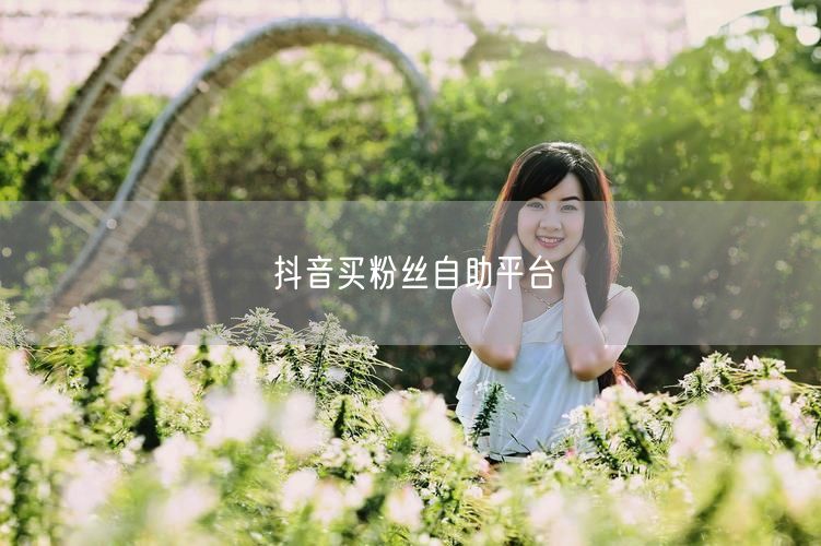 抖音买粉丝自助平台