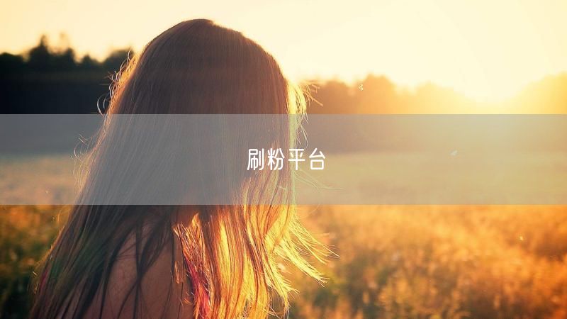 刷粉平台