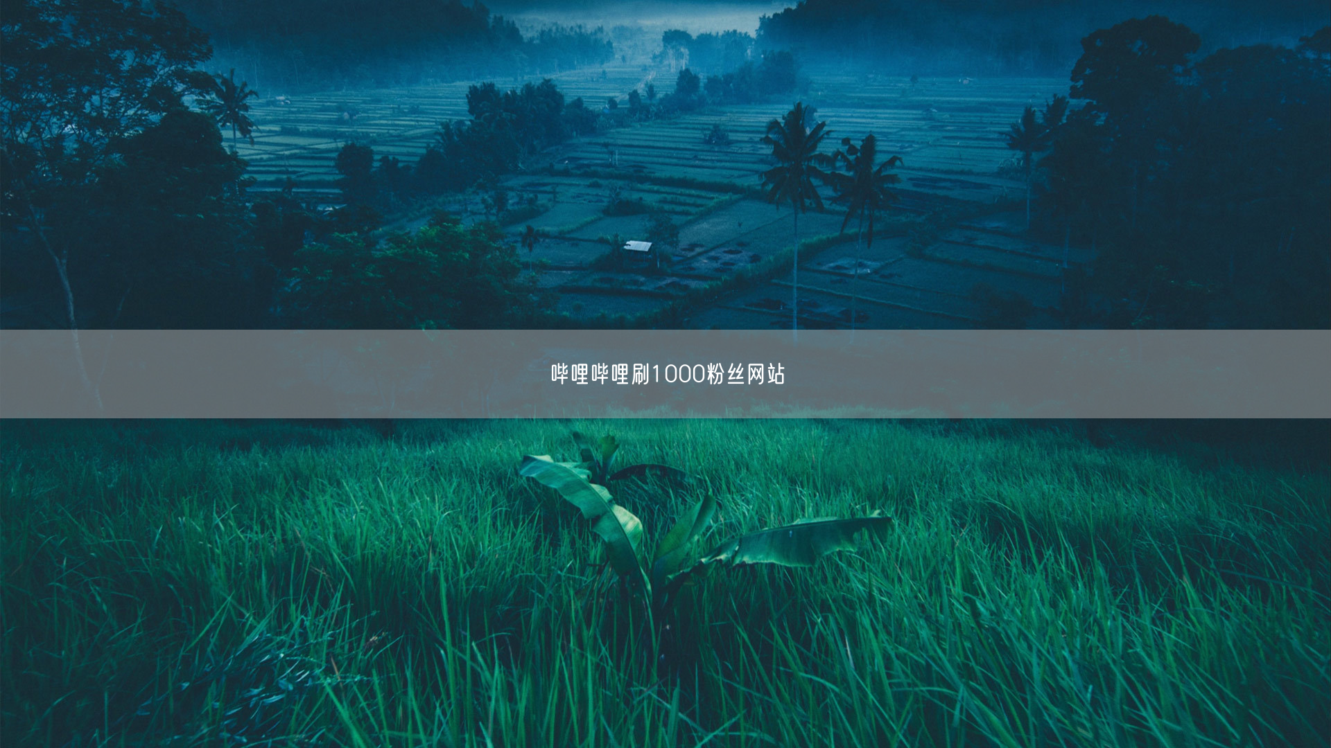 哔哩哔哩刷1000粉丝网站