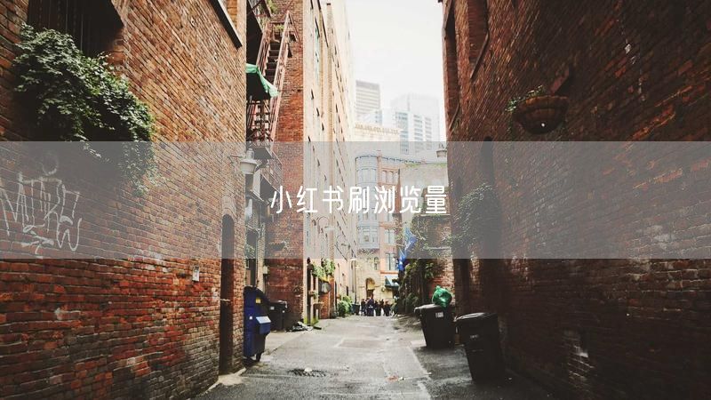 小红书刷浏览量