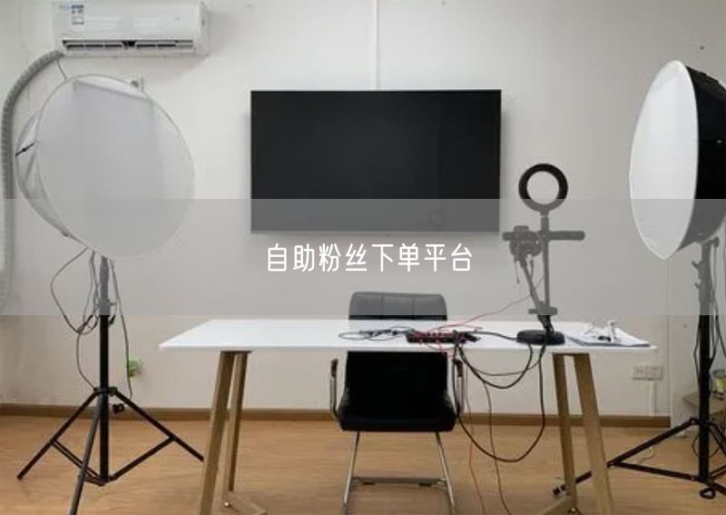 自助粉丝下单平台