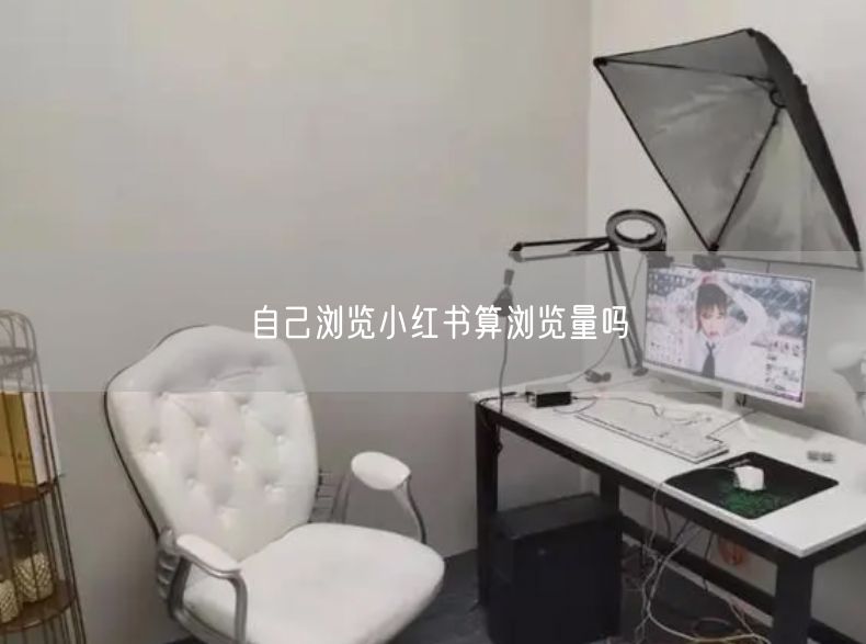 自己浏览小红书算浏览量吗