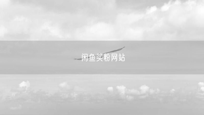 闲鱼买粉网站