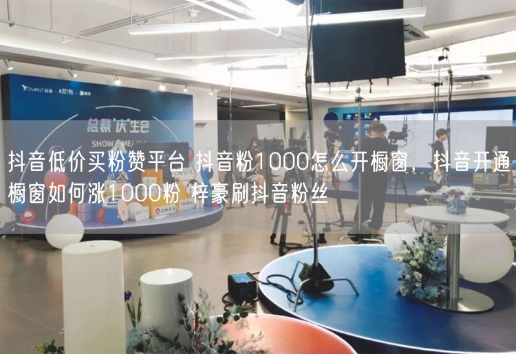 抖音低价买粉赞平台 抖音粉1000怎么开橱窗，抖音开通橱窗如何涨1000粉 梓豪刷抖音粉丝