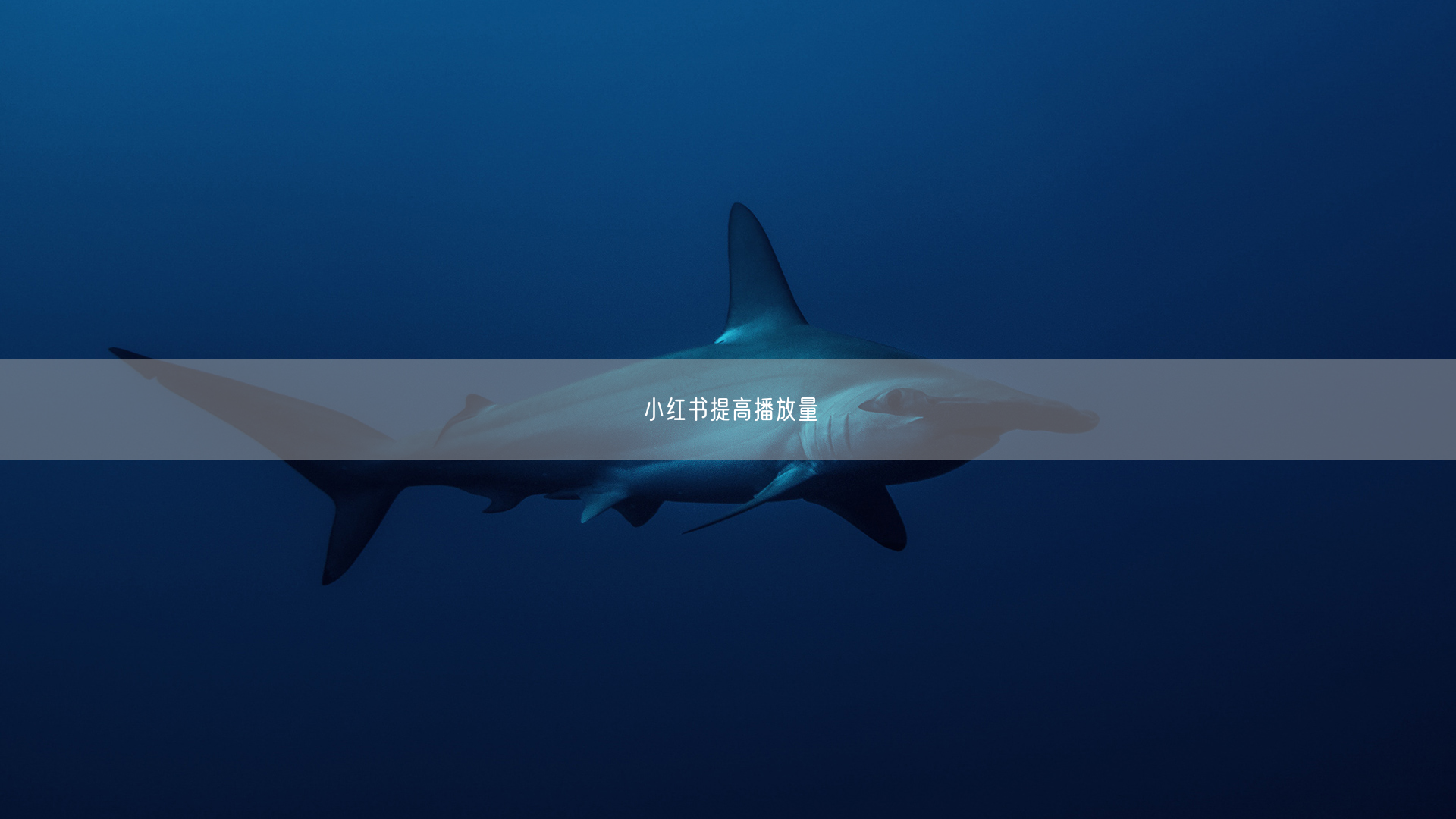 小红书提高播放量