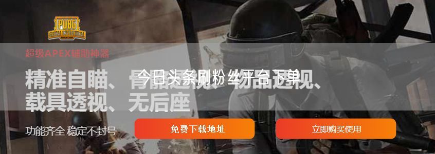 今日头条刷粉丝平台下单