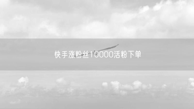 快手涨粉丝10000活粉下单