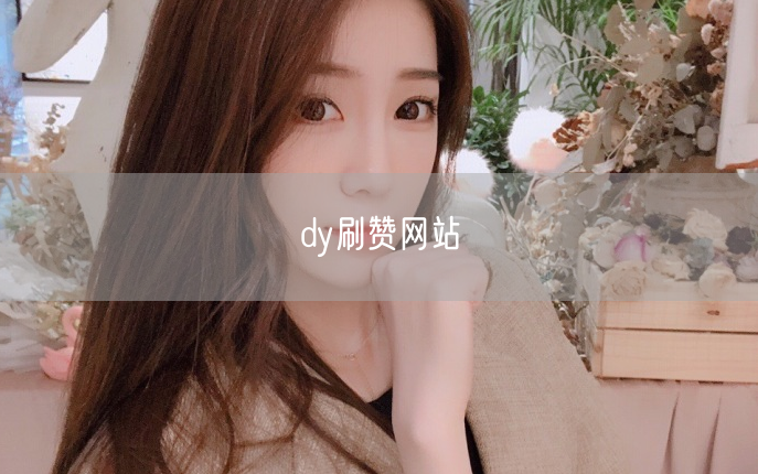 dy刷赞网站