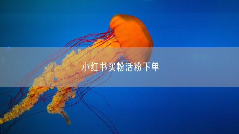 小红书买粉活粉下单