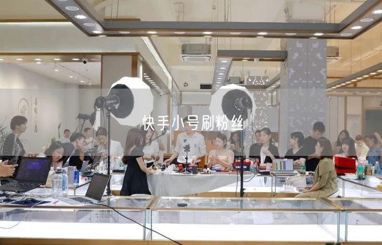 快手小号刷粉丝
