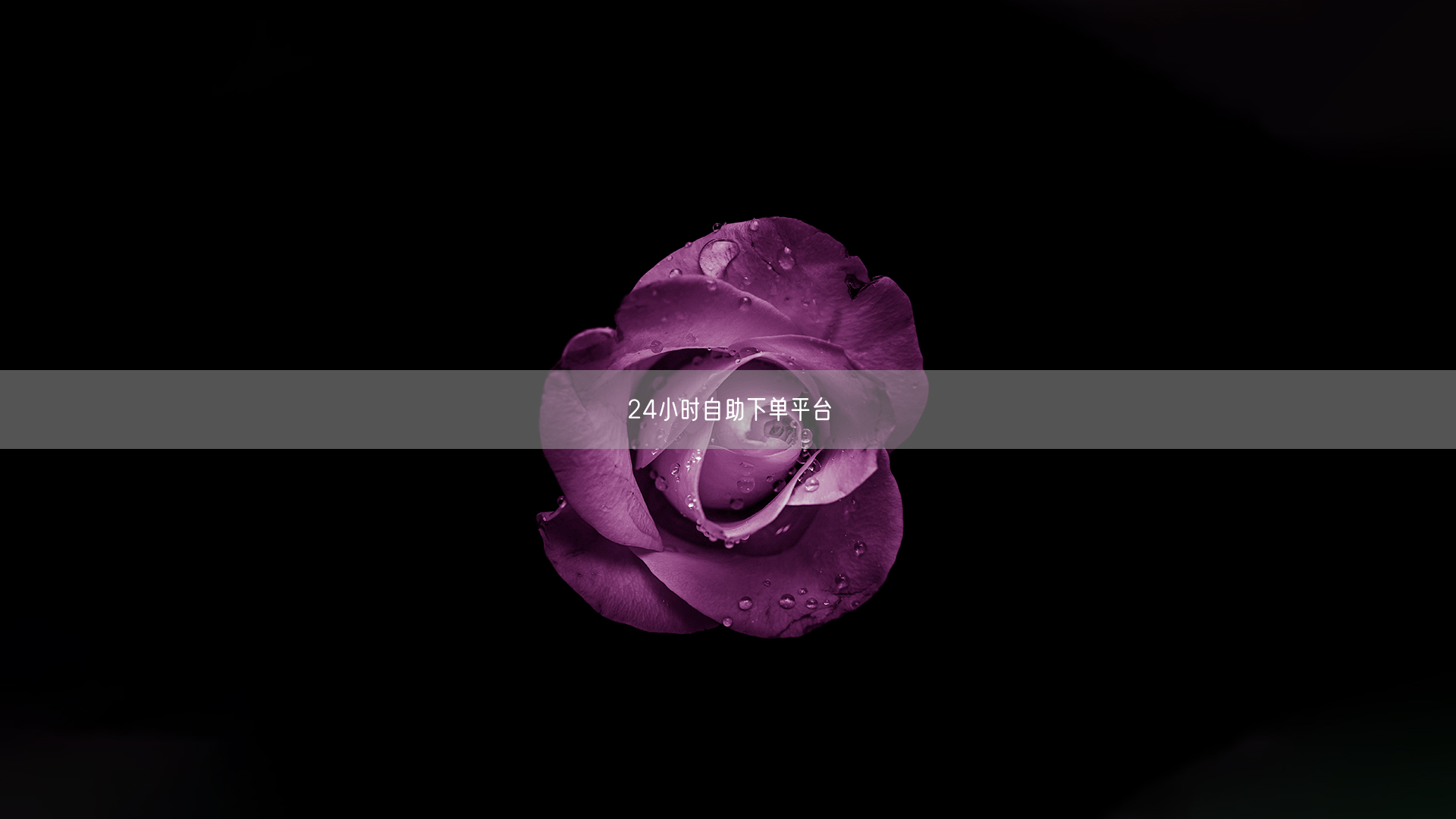 24小时自助下单平台