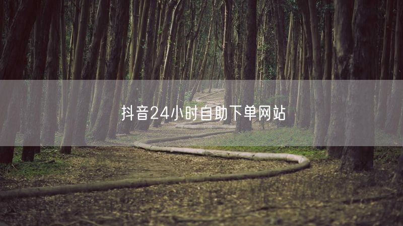 抖音24小时自助下单网站