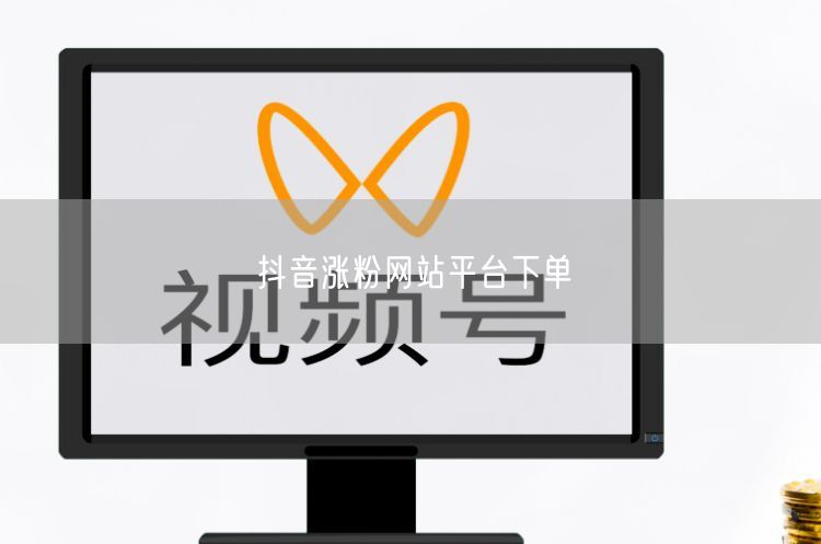 抖音涨粉网站平台下单