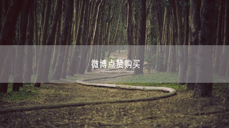 微博点赞购买