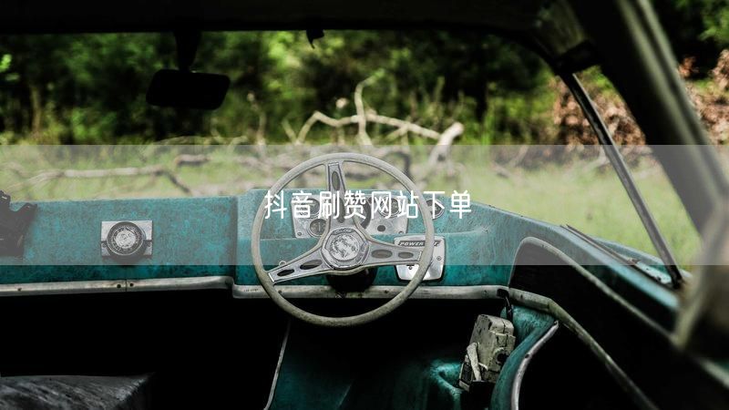 抖音刷赞网站下单