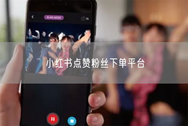 小红书点赞粉丝下单平台