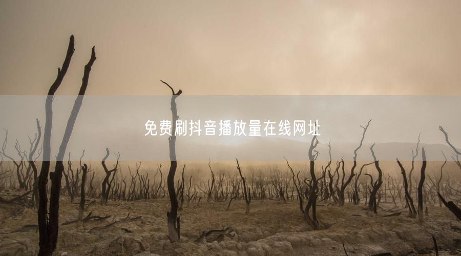 免费刷抖音播放量在线网址