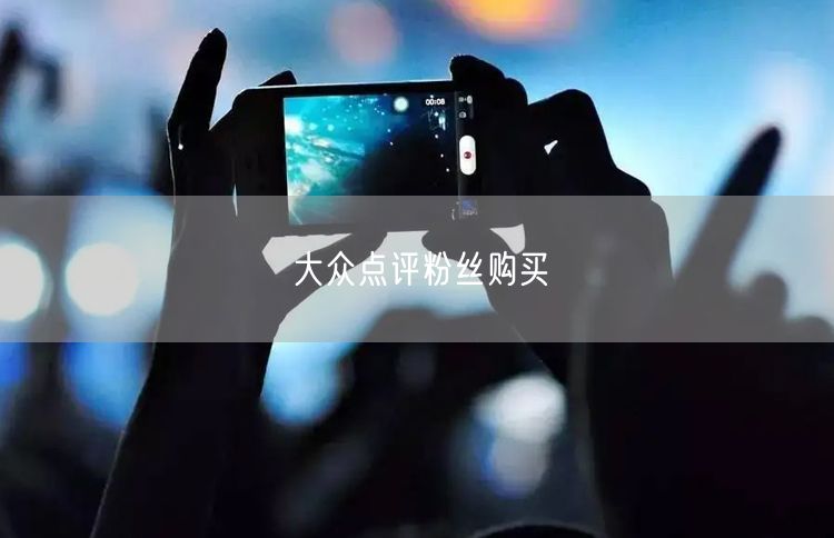 大众点评粉丝购买