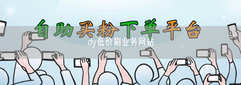dy低价刷业务网站