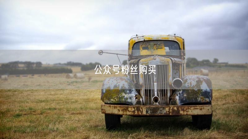 公众号粉丝购买