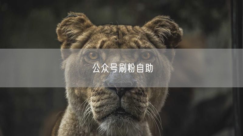 公众号刷粉自助