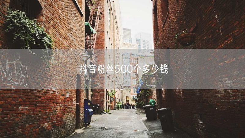 抖音粉丝500个多少钱