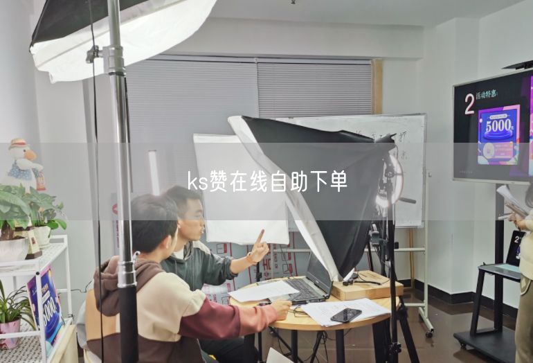 ks赞在线自助下单