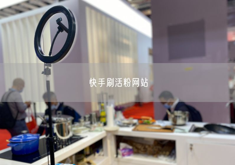 快手刷活粉网站