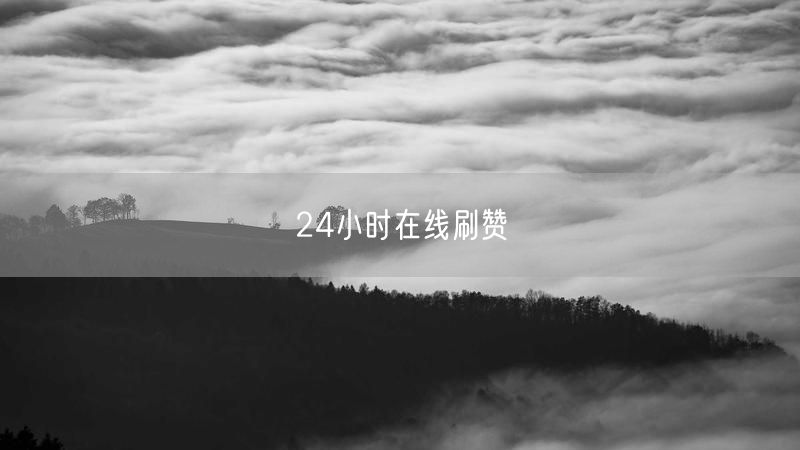 24小时在线刷赞