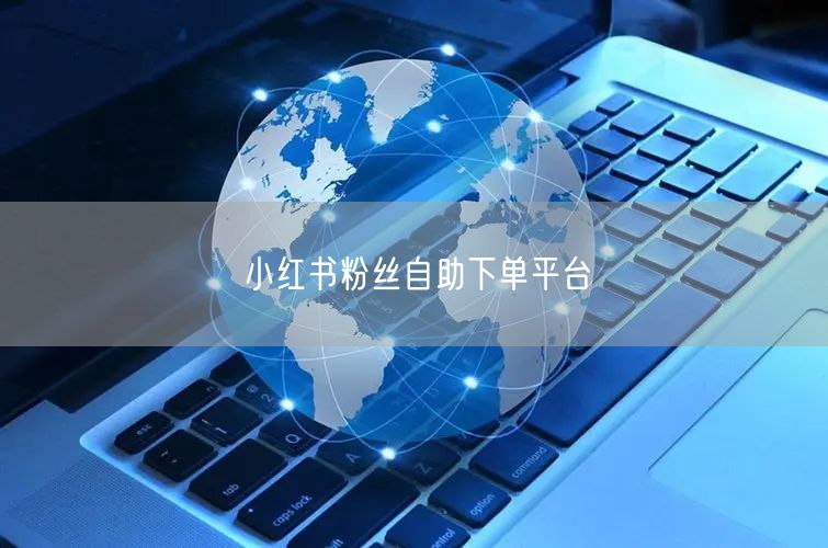 小红书粉丝自助下单平台