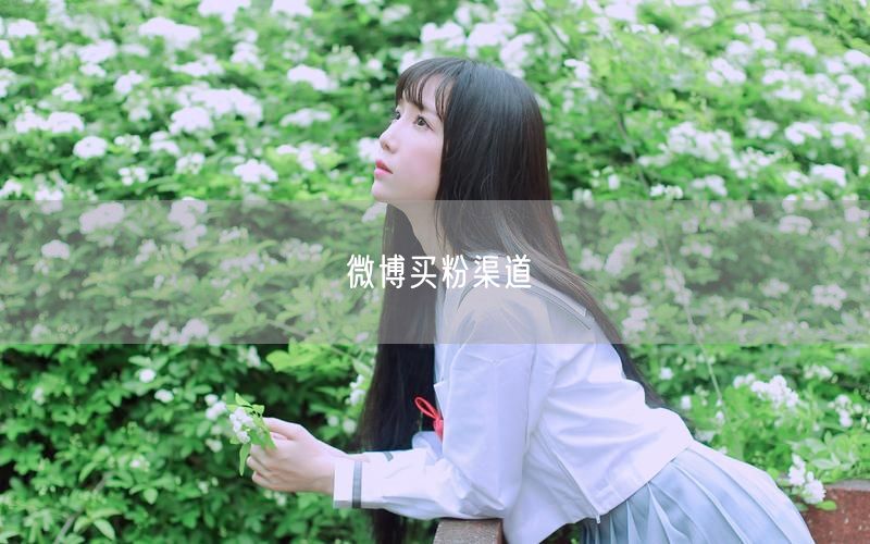 微博买粉渠道