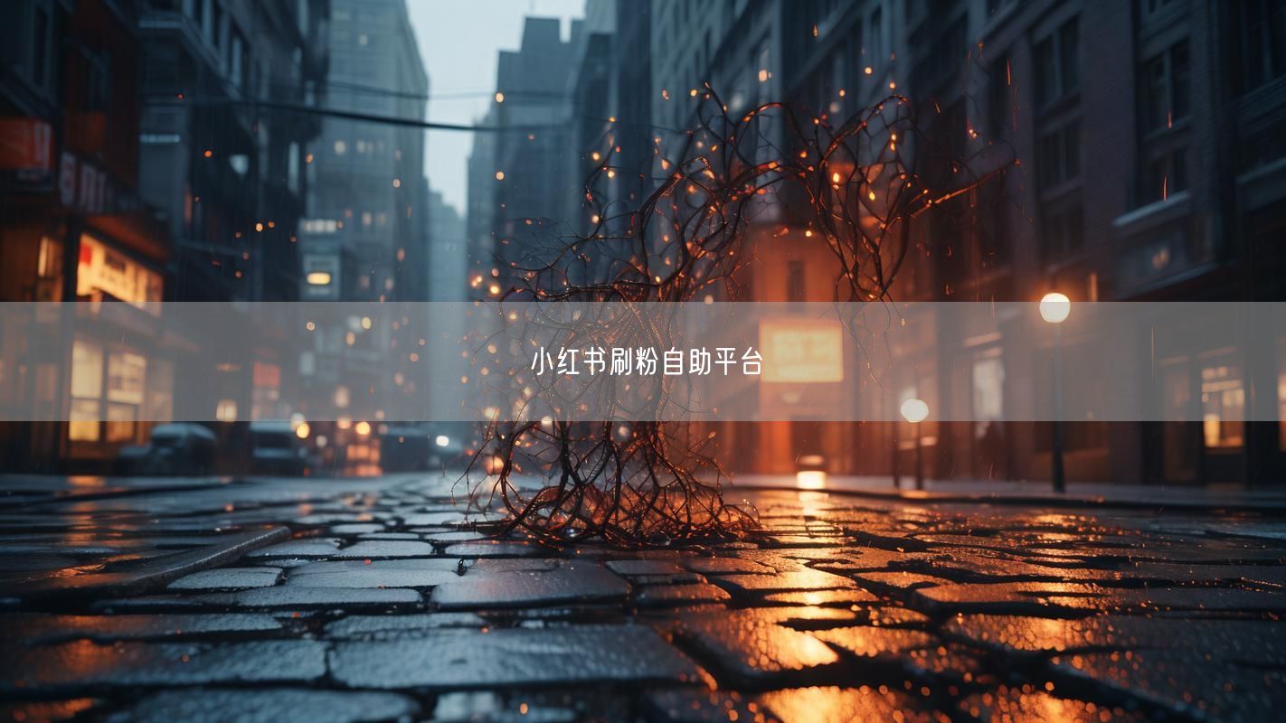 小红书刷粉自助平台