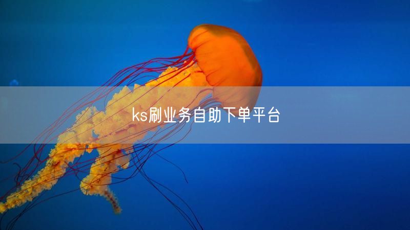 ks刷业务自助下单平台