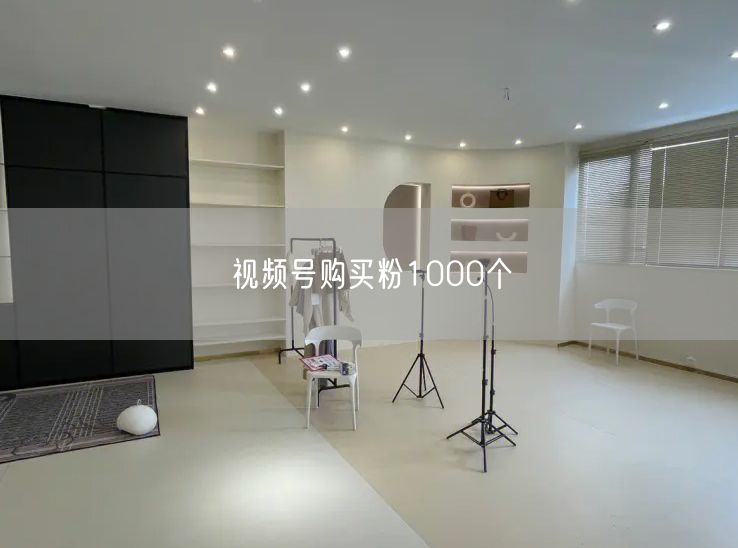 视频号购买粉1000个