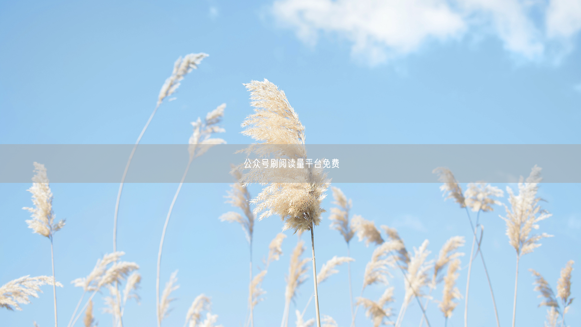 公众号刷阅读量平台免费