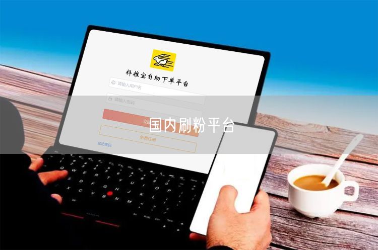 国内刷粉平台