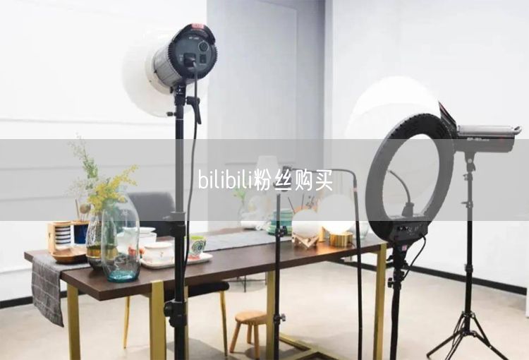 bilibili粉丝购买