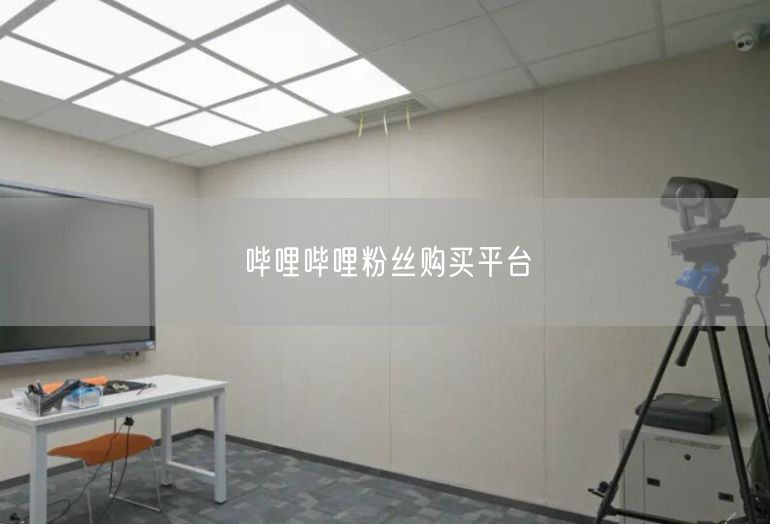 哔哩哔哩粉丝购买平台