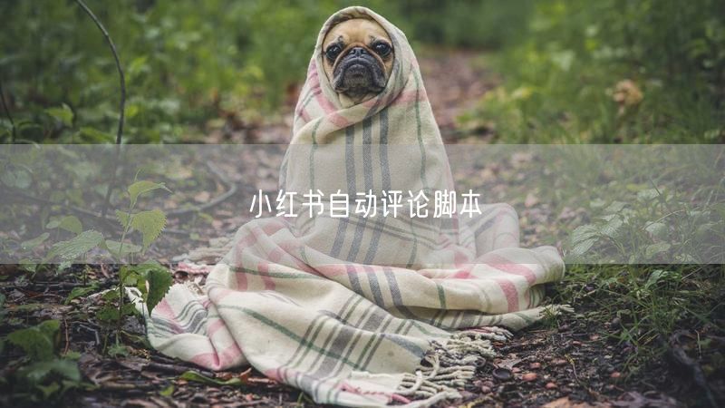 小红书自动评论脚本
