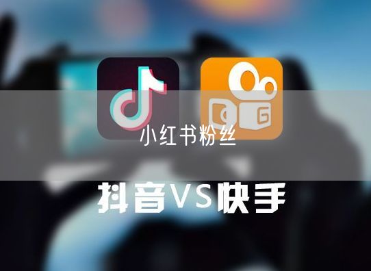 小红书粉丝