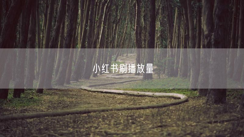小红书刷播放量