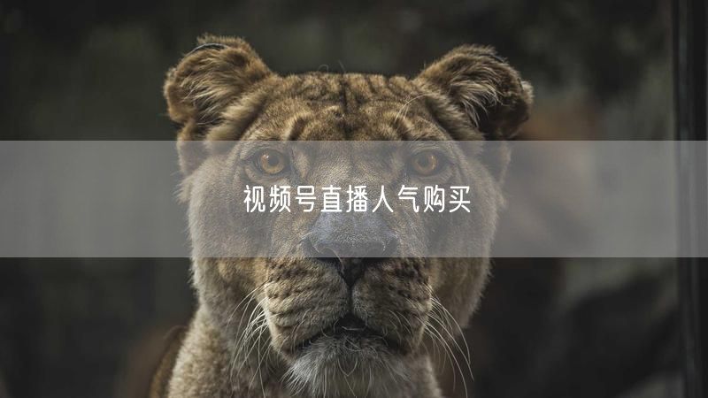 视频号直播人气购买