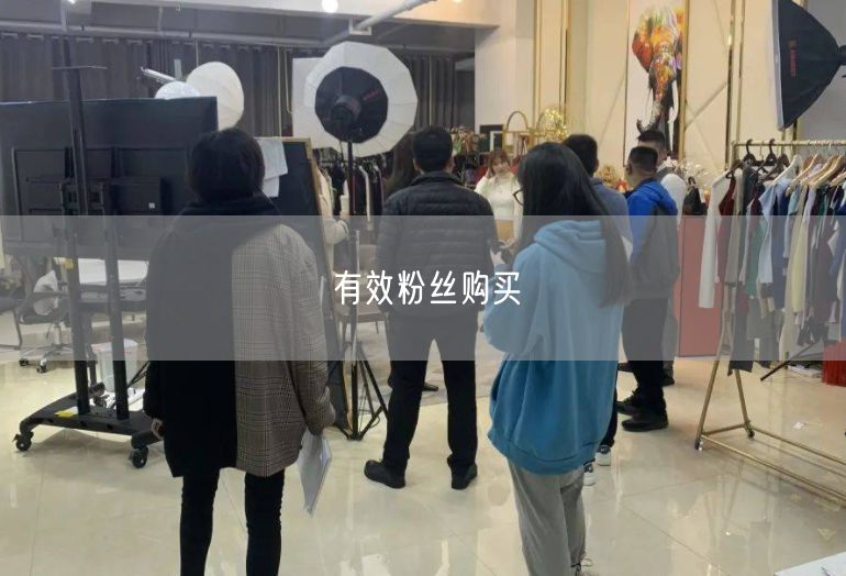 有效粉丝购买