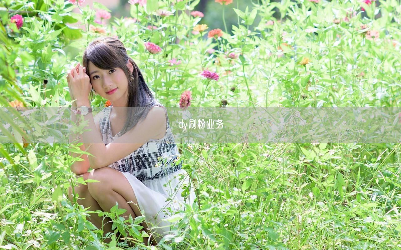 dy刷粉业务