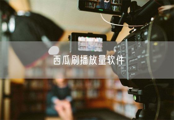 西瓜刷播放量软件